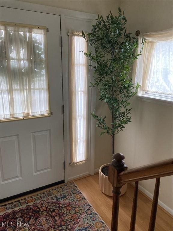 foyer featuring baseboards, light wood finished floors, and a healthy amount of sunlight