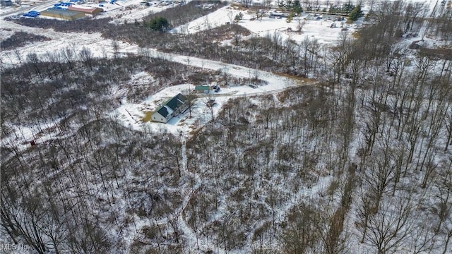 view of snowy aerial view