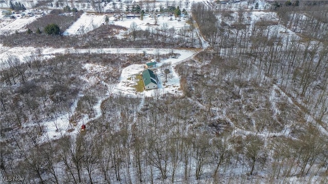 view of snowy aerial view