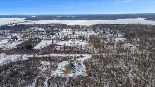 view of snowy aerial view