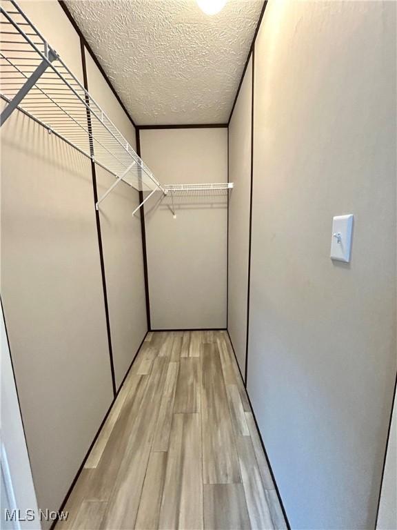 spacious closet featuring light wood-style floors