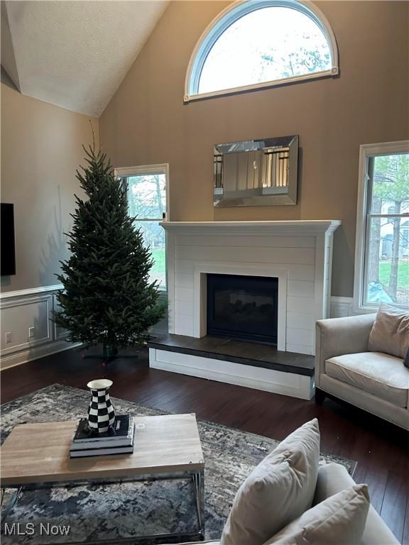 living room with a glass covered fireplace, a wainscoted wall, plenty of natural light, and wood finished floors