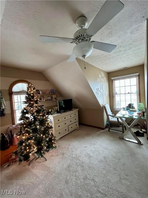 interior space featuring lofted ceiling, a wealth of natural light, and a textured ceiling