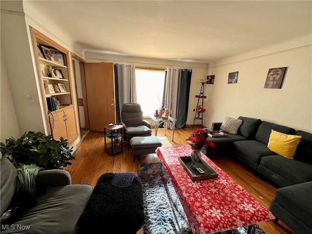 living area featuring light wood finished floors