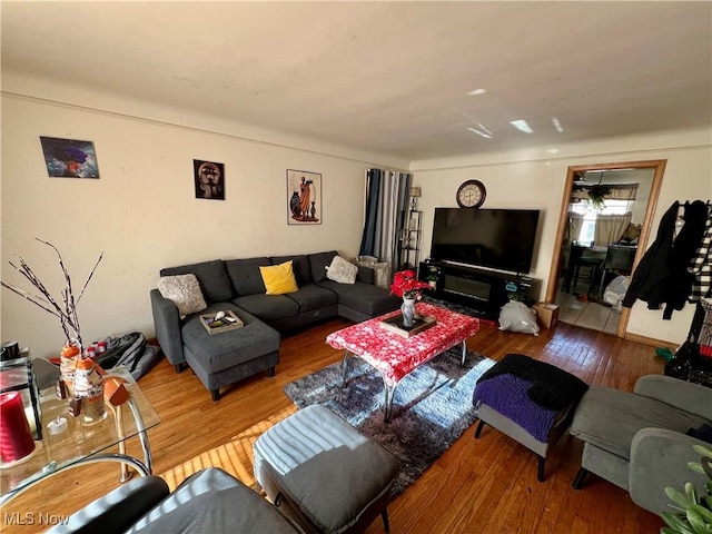 living room featuring hardwood / wood-style flooring