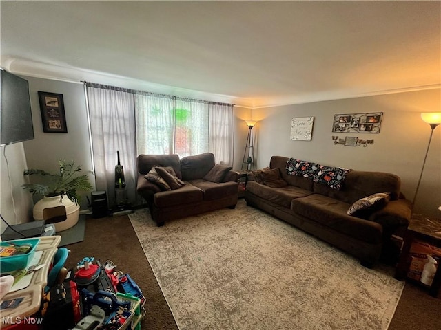 living room with carpet