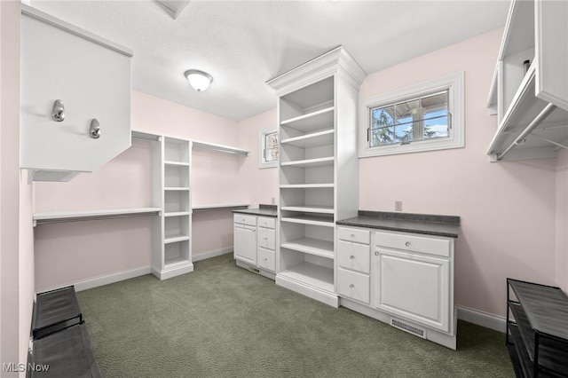 walk in closet with carpet and visible vents