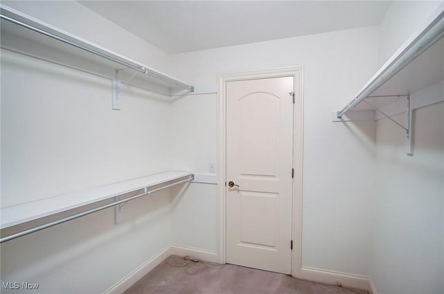 spacious closet with light colored carpet