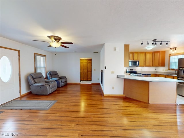 kitchen with appliances with stainless steel finishes, open floor plan, a sink, light wood-type flooring, and a peninsula