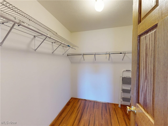 spacious closet featuring wood finished floors