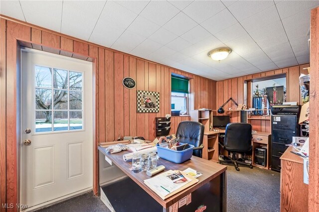 4085 Herner County Line Rd, Southington, OH 44470 - photo 41