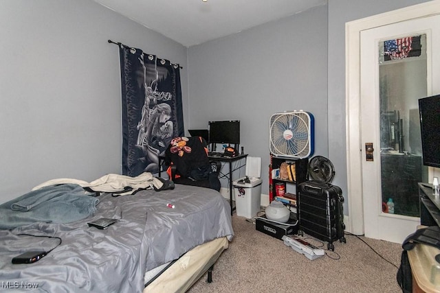 bedroom with carpet flooring