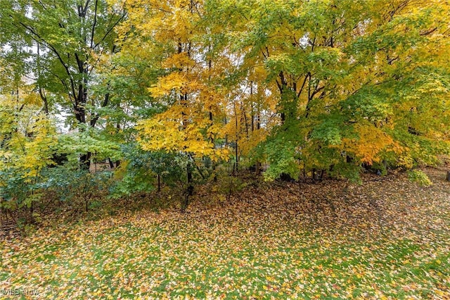 view of landscape featuring a wooded view