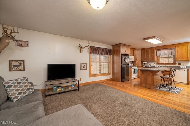 living room with a wealth of natural light, baseboards, light carpet, and light wood finished floors