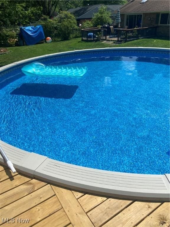 pool with a lawn