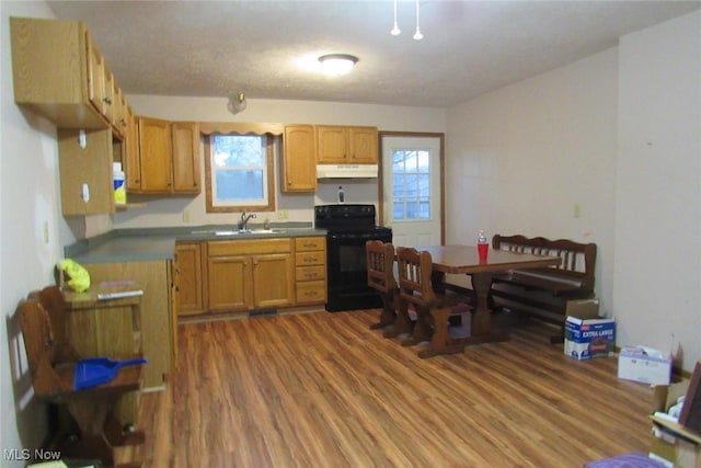 kitchen featuring black electric range oven, a sink, wood finished floors, plenty of natural light, and under cabinet range hood