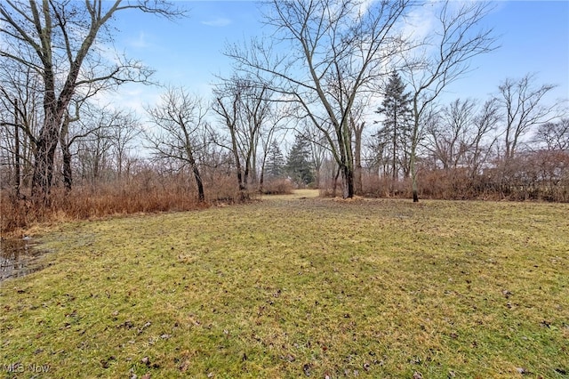 Alfred Rd, Akron OH, 44306 land for sale