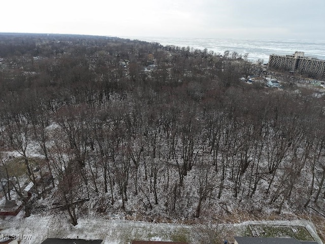 LOT96 Mapleview Ave, Sheffield Lake, OH 44054 - photo 4