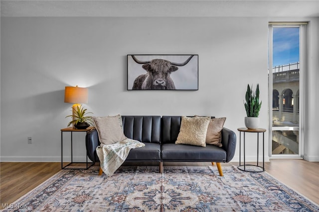 living area featuring baseboards and wood finished floors