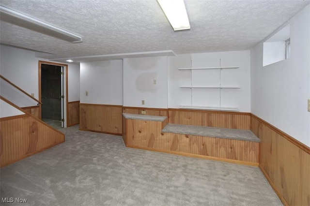 basement with carpet floors, a wainscoted wall, and a textured ceiling