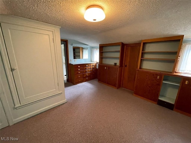 interior space with carpet and a textured ceiling