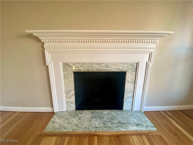 room details featuring a premium fireplace, wood finished floors, and baseboards