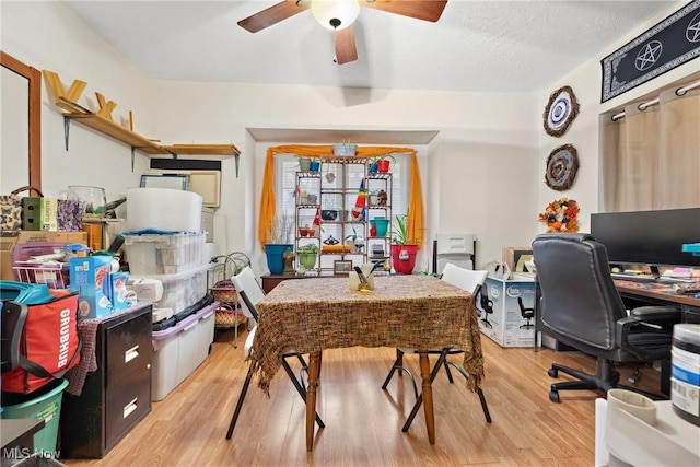 office space featuring a textured ceiling, light wood-style flooring, and a ceiling fan