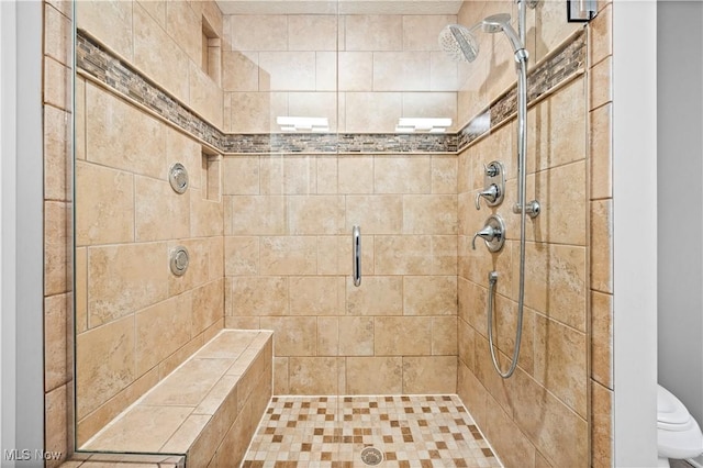 bathroom with toilet and a shower stall