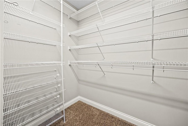 walk in closet with carpet floors