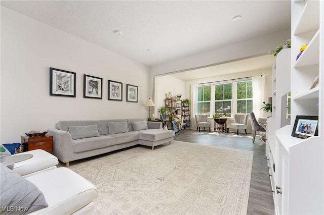 living area with wood finished floors