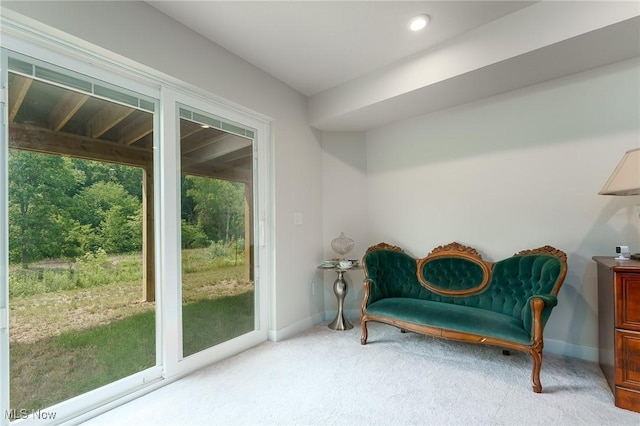 living area with carpet floors and baseboards