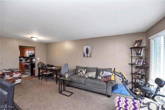 view of carpeted living room