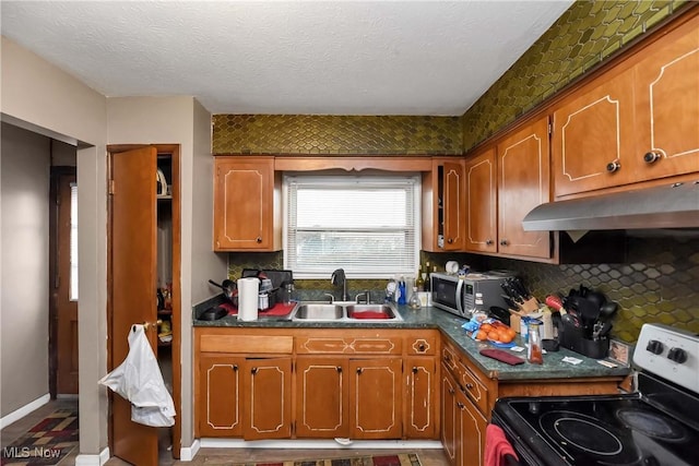 kitchen featuring dark countertops, under cabinet range hood, appliances with stainless steel finishes, and a sink