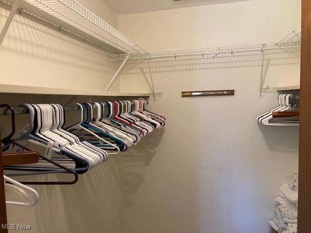 703 Tournament Trl, Cortland, OH 44410 - view of spacious closet