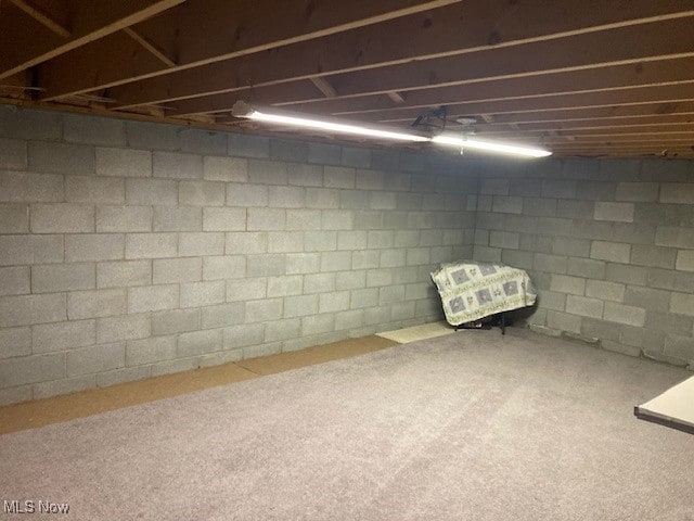 703 Tournament Trl, Cortland, OH 44410 - view of unfinished below grade area