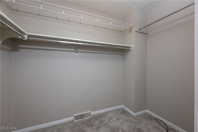 walk in closet with visible vents and carpet flooring