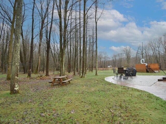 3945 Wheeler Creek Rd, Geneva, OH 44041 - view of yard