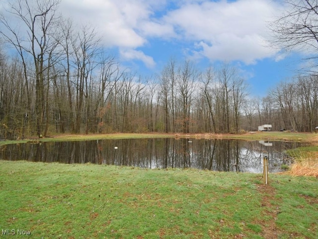 3945 Wheeler Creek Rd, Geneva, OH 44041 - view of water feature featuring a view of trees