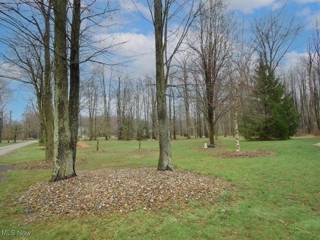 3945 Wheeler Creek Rd, Geneva, OH 44041 - view of yard