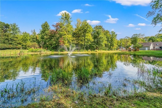 3945 Wheeler Creek Rd, Geneva, OH 44041 - water view featuring a wooded view