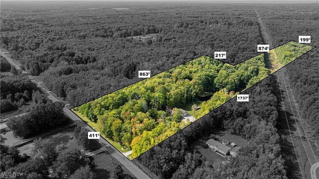 3945 Wheeler Creek Rd, Geneva, OH 44041 - drone / aerial view with a wooded view