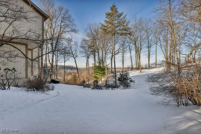 4670 Figgie Dr, Willoughby, OH 44094 - photo 47