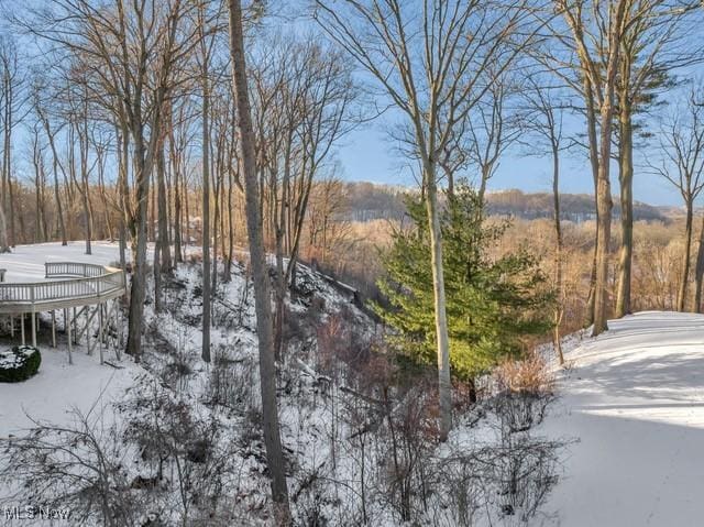 4670 Figgie Dr, Willoughby, OH 44094 - photo 49