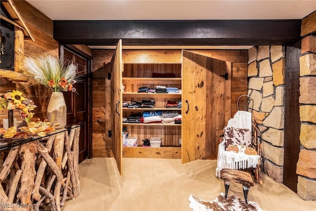 interior space featuring wood walls and carpet