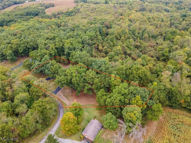 aerial view with a view of trees