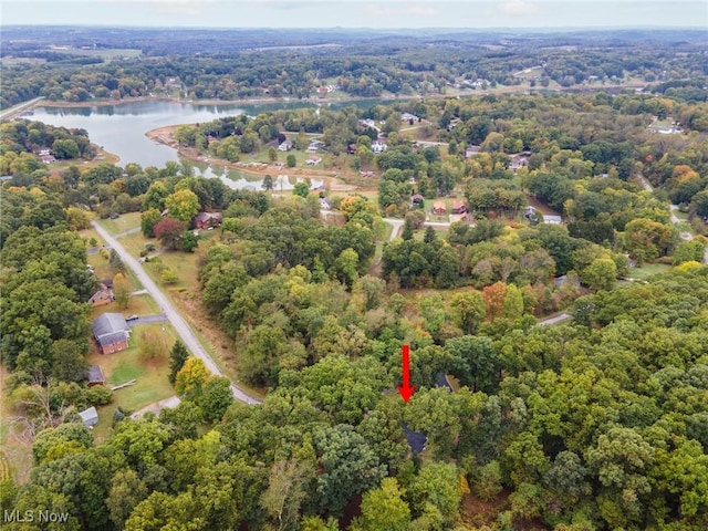 bird's eye view featuring a water view and a forest view