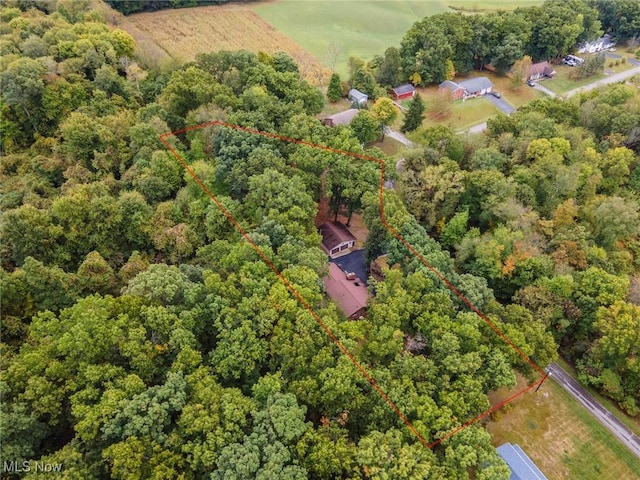 aerial view featuring a forest view