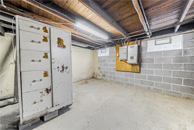 basement with electric panel