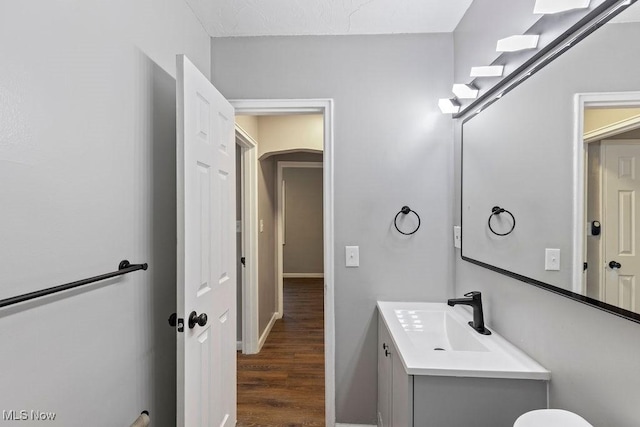 bathroom featuring wood finished floors and vanity