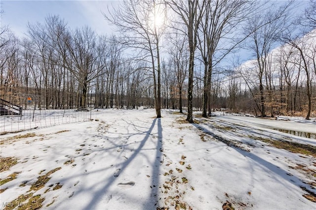 view of yard covered in snow